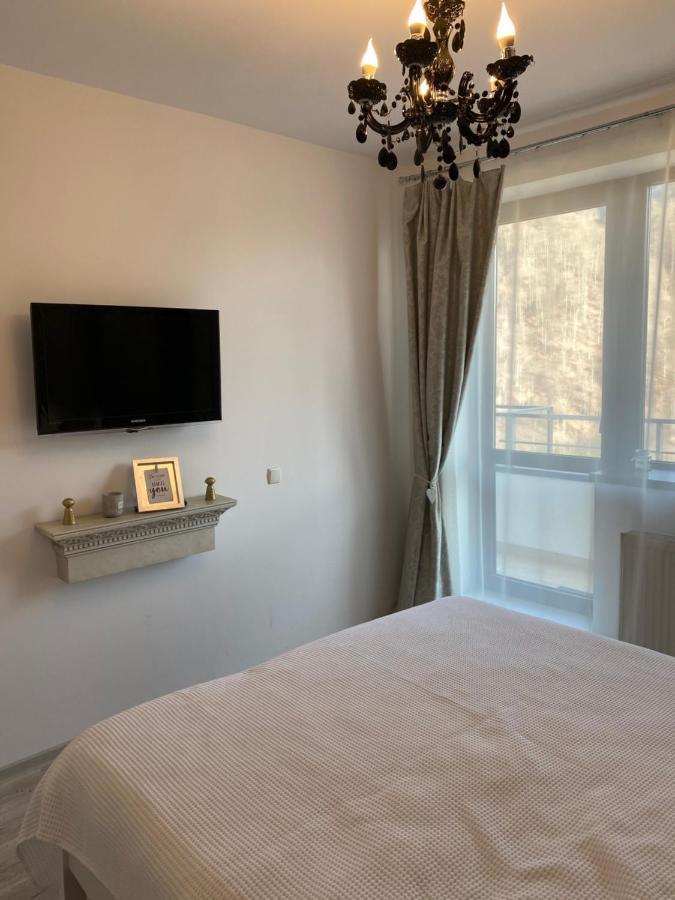 Harmony Apartment Sinaia Zewnętrze zdjęcie