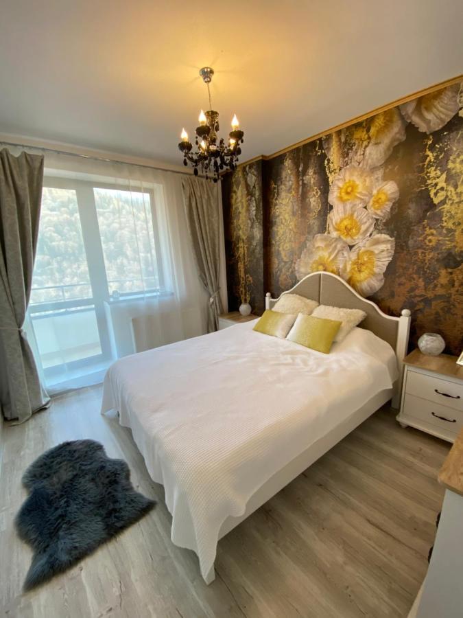 Harmony Apartment Sinaia Zewnętrze zdjęcie